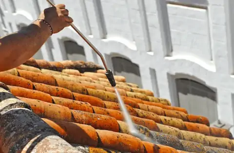 Nettoyage de toitures - Porte des Pierres Dorées
